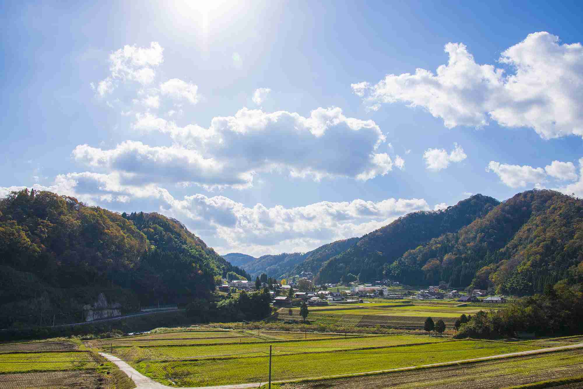ひっそり地元で暮らしてる方