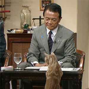 優しい笑顔をしてる画像