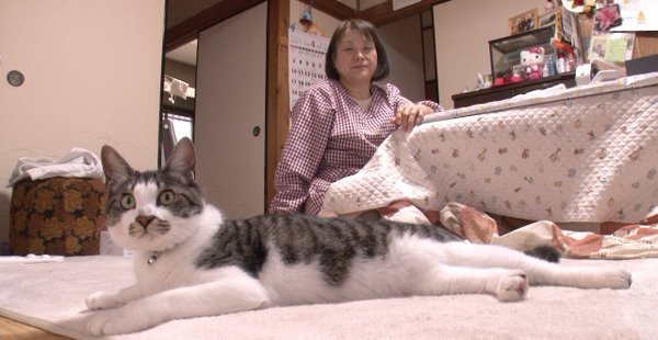 【実況&感想】密着20年!大家族石田さんチ 夫婦は円満別居!?末っ子も新生活で大騒ぎだSP