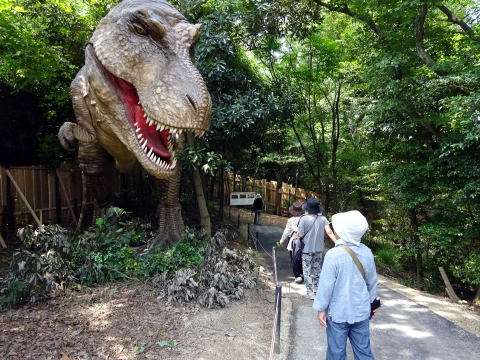 地元のあまり知られてないスポットを紹介しよう