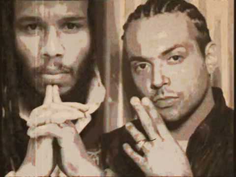 Ziggy Marly ft  Sean Paul   Three Little Birds With Lyrics   YouTube - YouTube