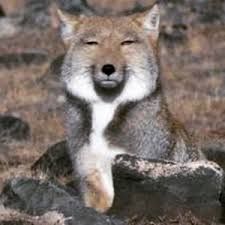 平凡な映画タイトルを考えるトピ