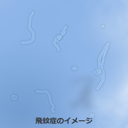 40歳の人集まれ〜♪