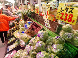 野菜高騰　家計悲鳴　レタス３倍も　ファミレス食材変更