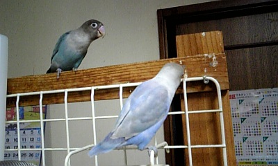 ある女優からの手紙 - 今日も一日ありがとう♪