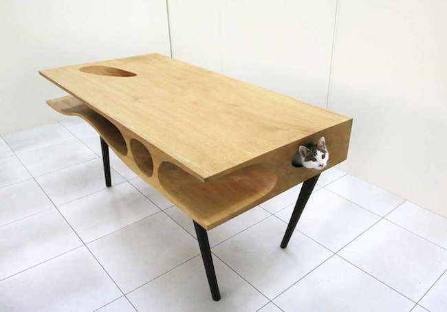 狭い場所に執着する猫の画像が見たい