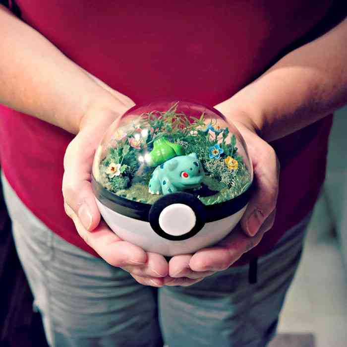 モンスターボールの中で暮らすポケモン！”ポケモンテラリウム”が可愛いと話題に！　