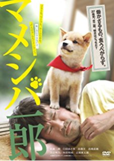 各テレビ局で一番観ている番組、ドラマ