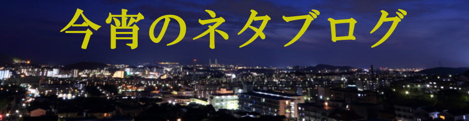 セグウェイでの公道走行が遂に解禁！必要な免許はあるの？