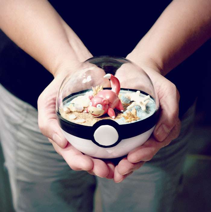 モンスターボールの中で暮らすポケモン！”ポケモンテラリウム”が可愛いと話題に！　