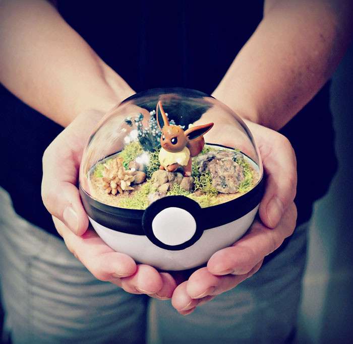 モンスターボールの中で暮らすポケモン！”ポケモンテラリウム”が可愛いと話題に！　