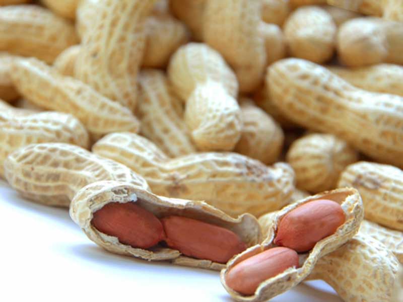 食べたいのに食べるのにコツがいる食べ物