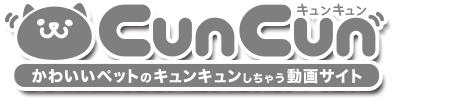CunCun：キュンキュンしちゃう子犬・子猫・ペットの動画サイト
