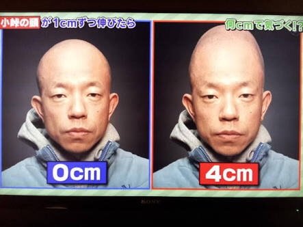 【画像あり】坂口杏里のお尻、汚過ぎて違法DLサイト「Nyaa」で遂にNGファイル指定されるｗｗｗｗｗｗｗ : 妹はVIPPER