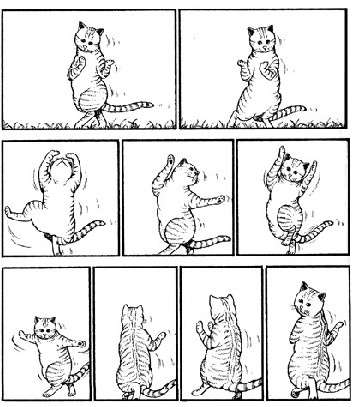 大当たり作品多し！ 癒されるかわいいネコの漫画10選