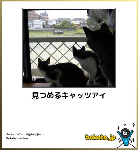 ボケて！で笑った動物編