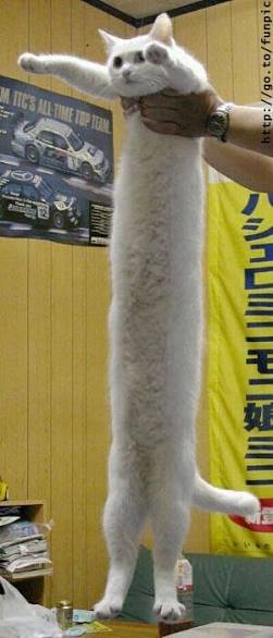 褒められて伸びる人が集まるトピ