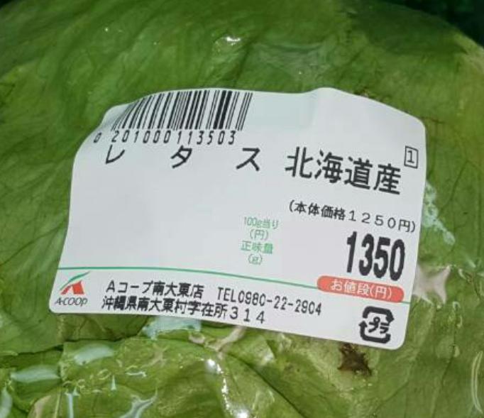 野菜高騰　家計悲鳴　レタス３倍も　ファミレス食材変更