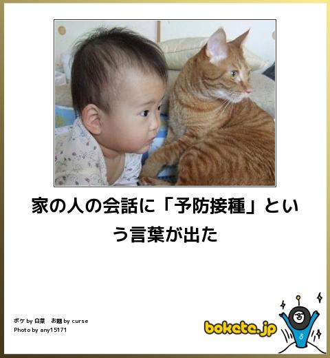 ボケて！で笑った動物編