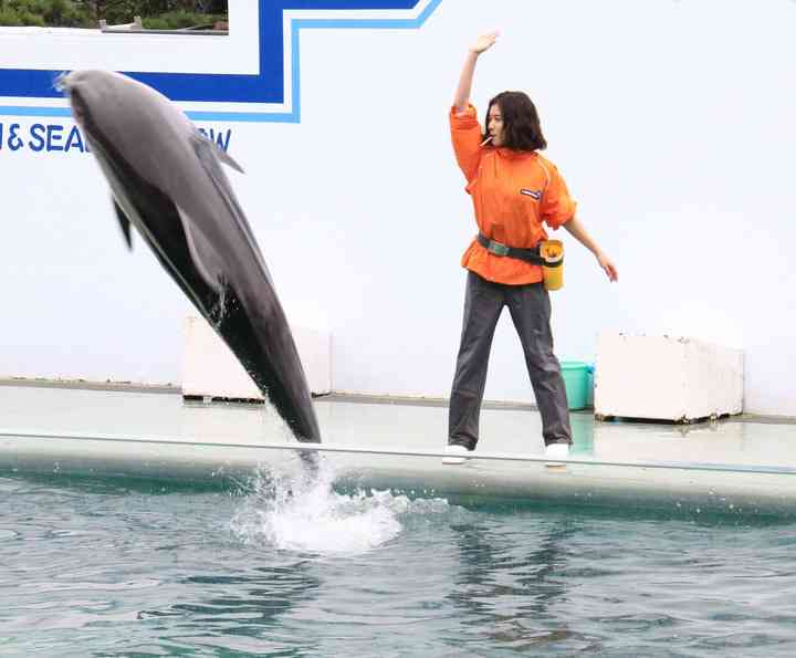松岡茉優“水族館ガール”が一日館長に　“相棒”を間違える