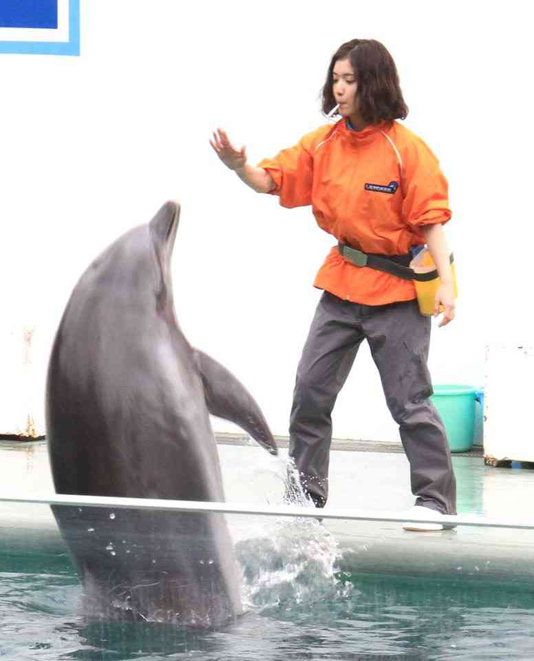 松岡茉優“水族館ガール”が一日館長に　“相棒”を間違える