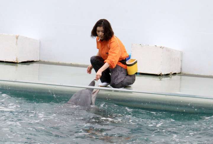 松岡茉優“水族館ガール”が一日館長に　“相棒”を間違える