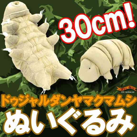 大きなぬいぐるみ、抱き枕（人形）お手入れはどうしてますか？