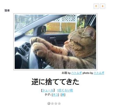 ボケて！で笑った動物編