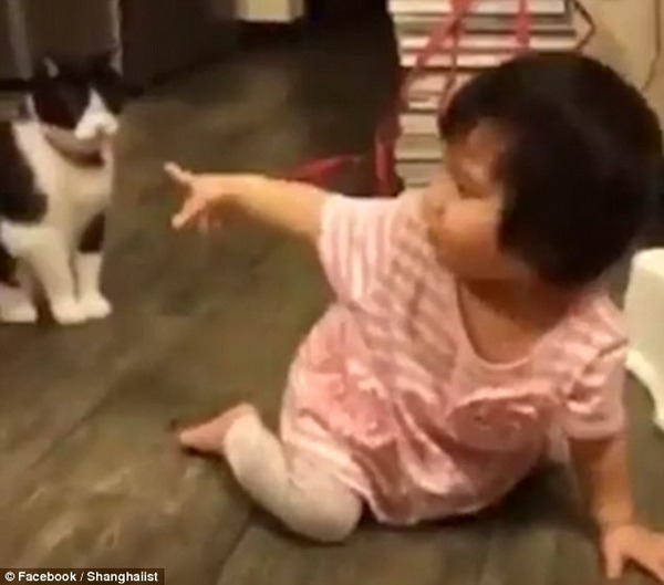 ネコが子供の足を引っかけて転ばせた!?これはぜったいわざとｗｗ 