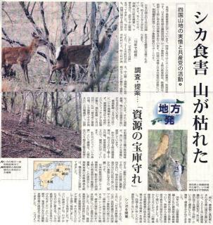 オオカミを輸入して山林に放ち、食害を減らそうとの構想 福岡・添田 住民提案