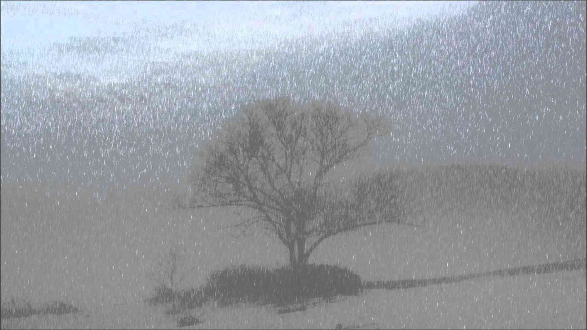 【自然音】雨強め3時間/Heavy rain 3 hours/Nature sound Healing chill out - YouTube