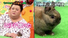 色んなマツコ・デラックスをみてみたい！