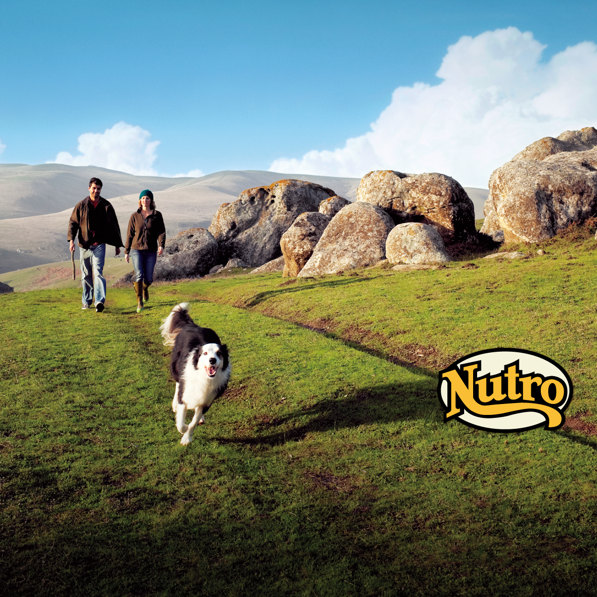 Nutro&trade; ニュートロ&trade;はペット第一主義の製品づくりに取り組んでいます