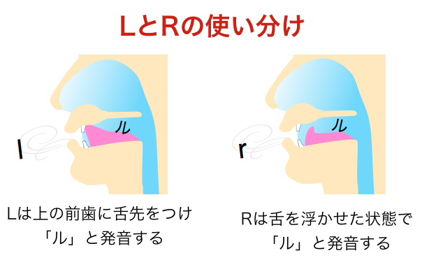 英会話のコツ！