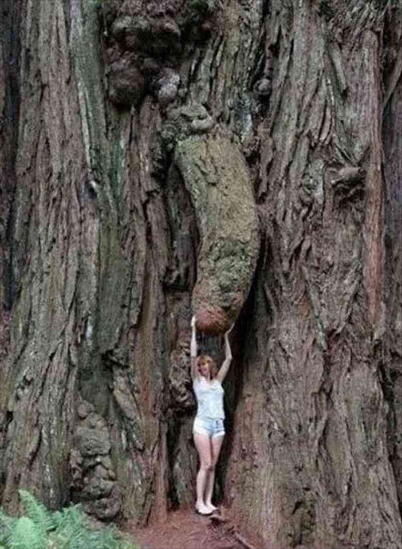 エロくないのにエロく見える画像