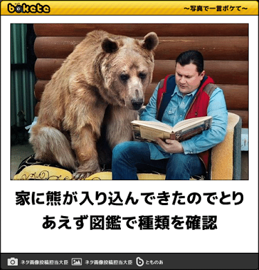 ボケて！で笑った動物編