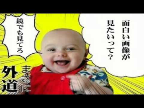 【作業用BGM】 盆回り 小一時間 - YouTube