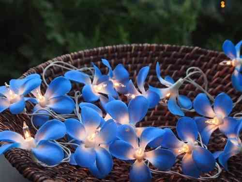 可愛いランプorライト