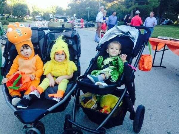 【子供か動物限定】ハロウィンのかわいいコスプレ画像を集めよう。