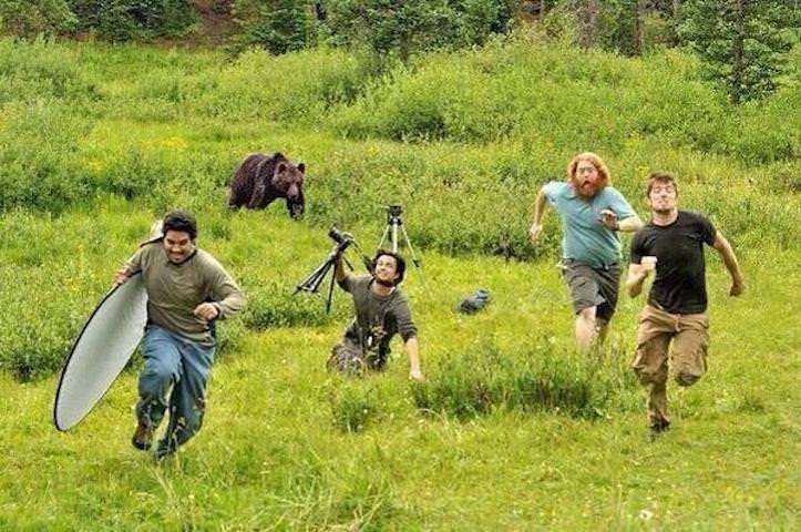 クマ被害、こう防ぐ…環境省が対策パンフレット