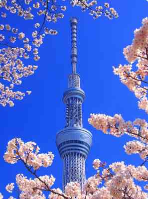東京で驚いたこと