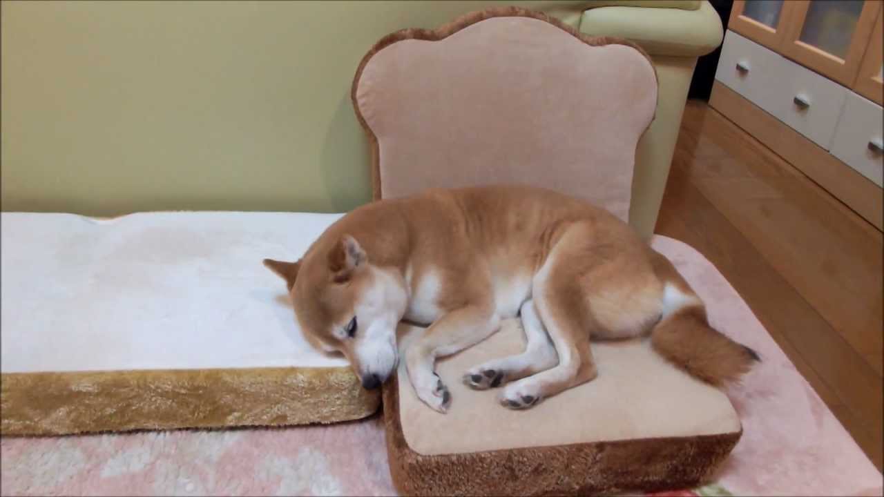 暖かくなる画像ください♡