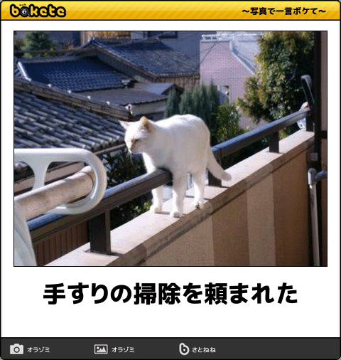 ボケて！で笑った動物編