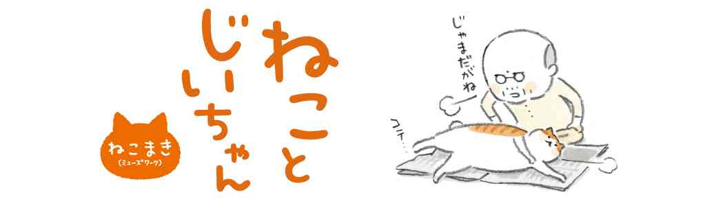 猫好きあるある