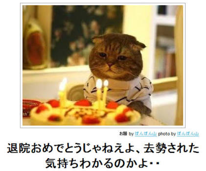 ボケて！で笑った動物編