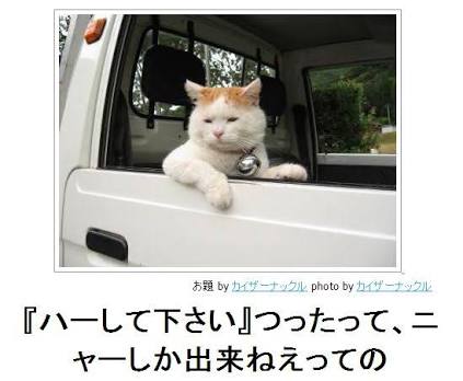 ボケて！で笑った動物編