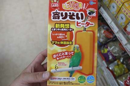 家にインコなど鳥類がいる方いませんか