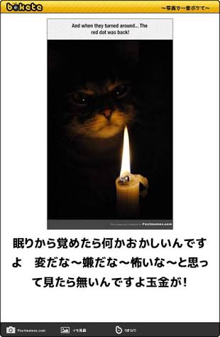 ボケて！で笑った動物編