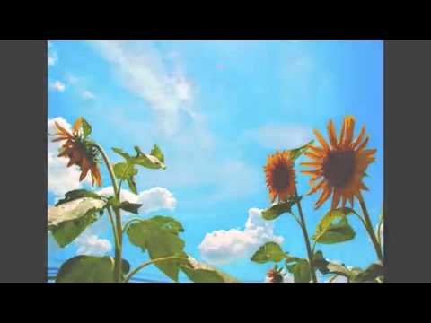 忍空 ＥＤそれでも明日はやってくる - YouTube