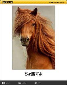 ボケて！で笑った動物編